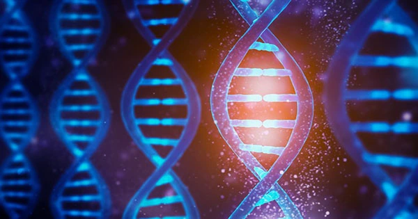 DNA Mutations Are Not Completely Random, Claims New Study