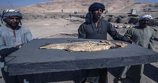Huge Discovery of Egyptian Texts Gives Glimpses into Ancient Life