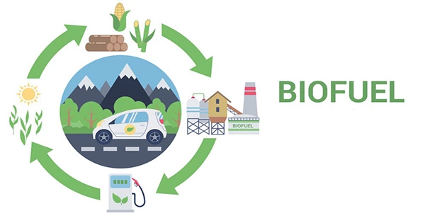 What is Biofuel Energy?
