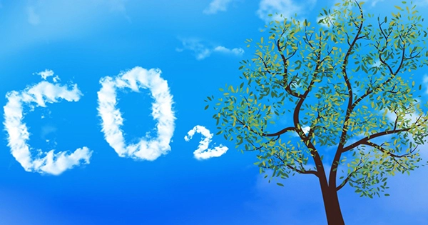 Does Carbon Dioxide Have an Odor?