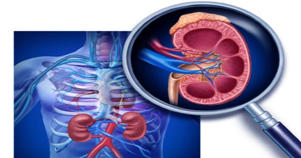 New-Hope-For-the-Treatment-of-Kidney-Cancer-1