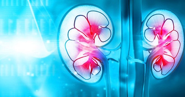 New Hope For the Treatment of Kidney Cancer