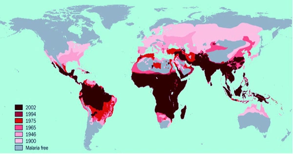 Potential Malaria Outbreaks in Nations Where the Disease is not Generally Endemic