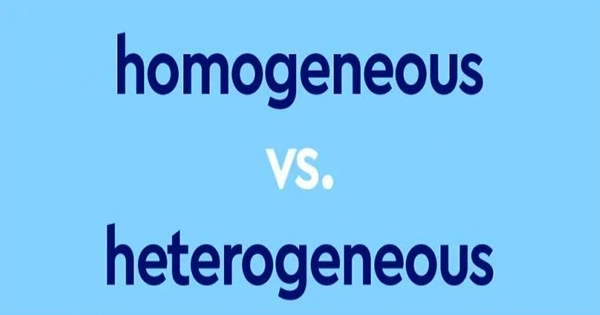 The Difference Between a Heterogeneous and a Homogeneous Team