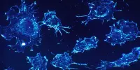 New Information on the Spread of Cancer Cells has Been Found